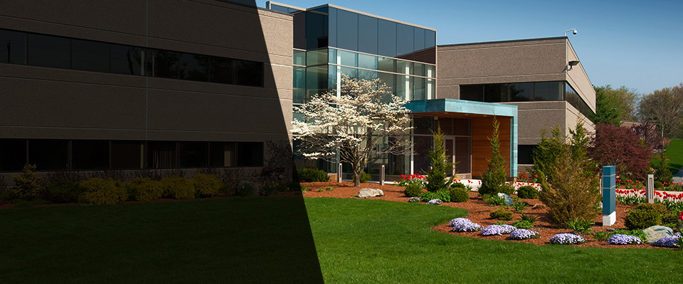 Rexford Landscapers