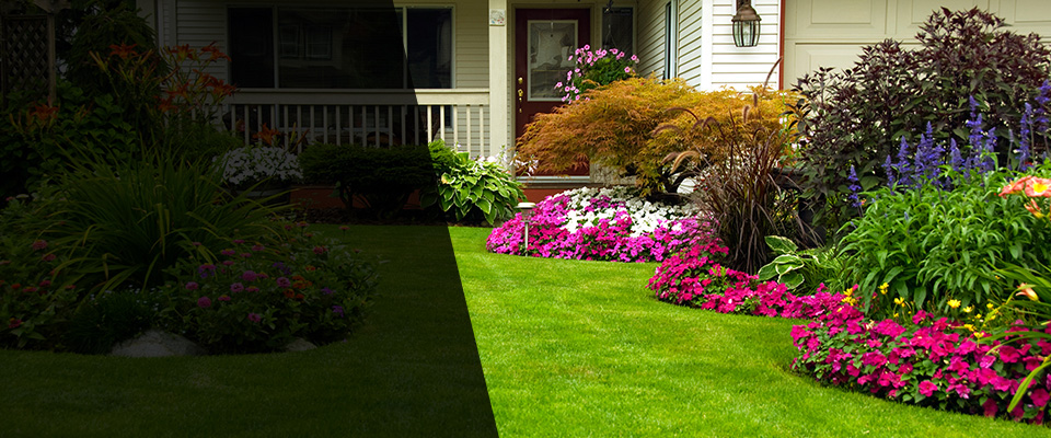Rexford Landscapers