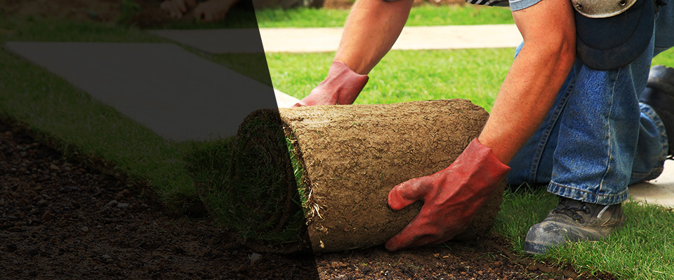 Rexford Landscapers